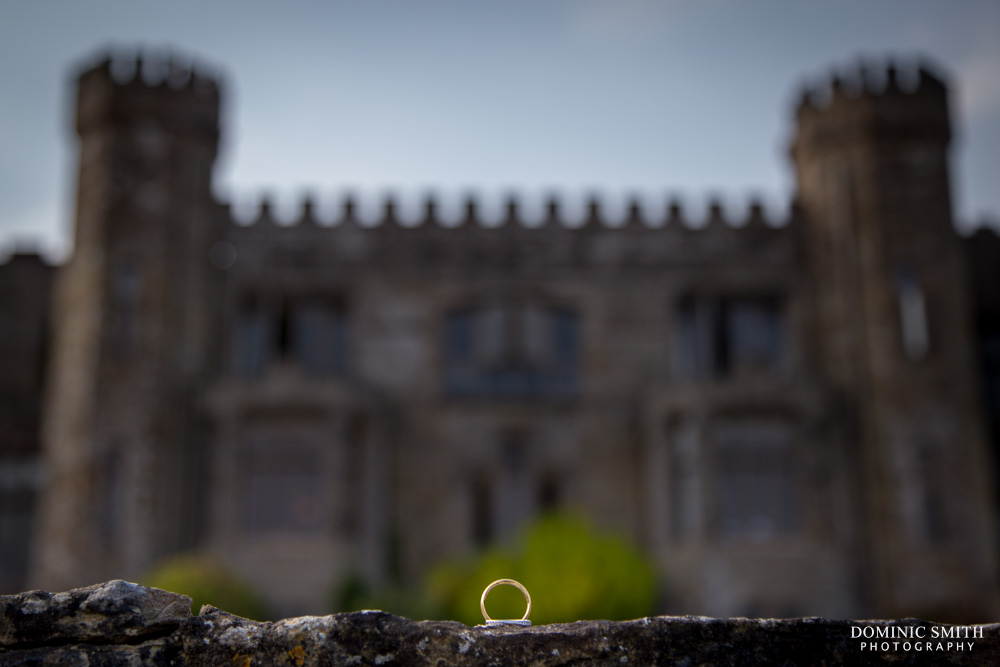 Ring photo taken at Wadhurst Castle