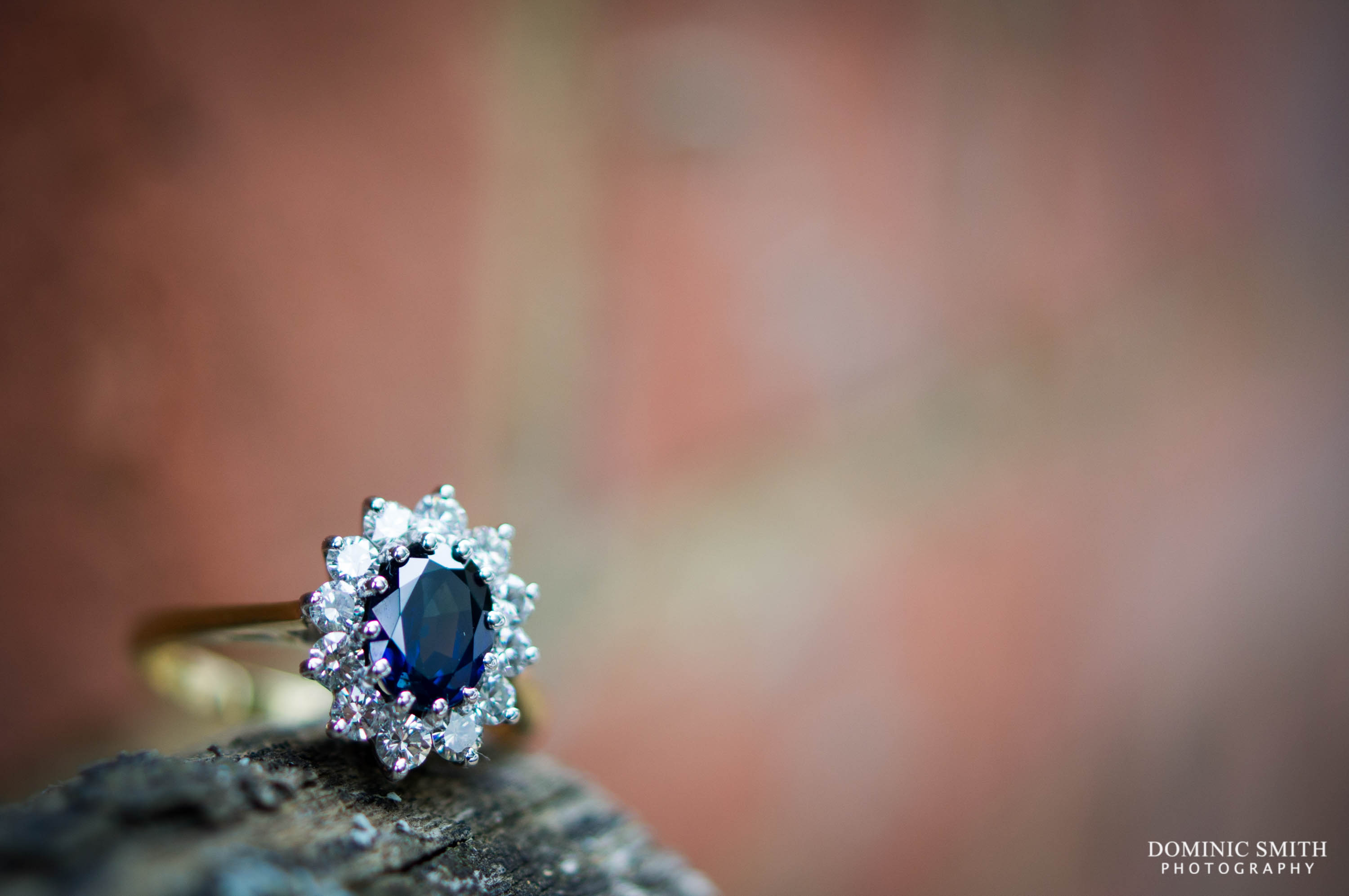 Engagement Ring Detail