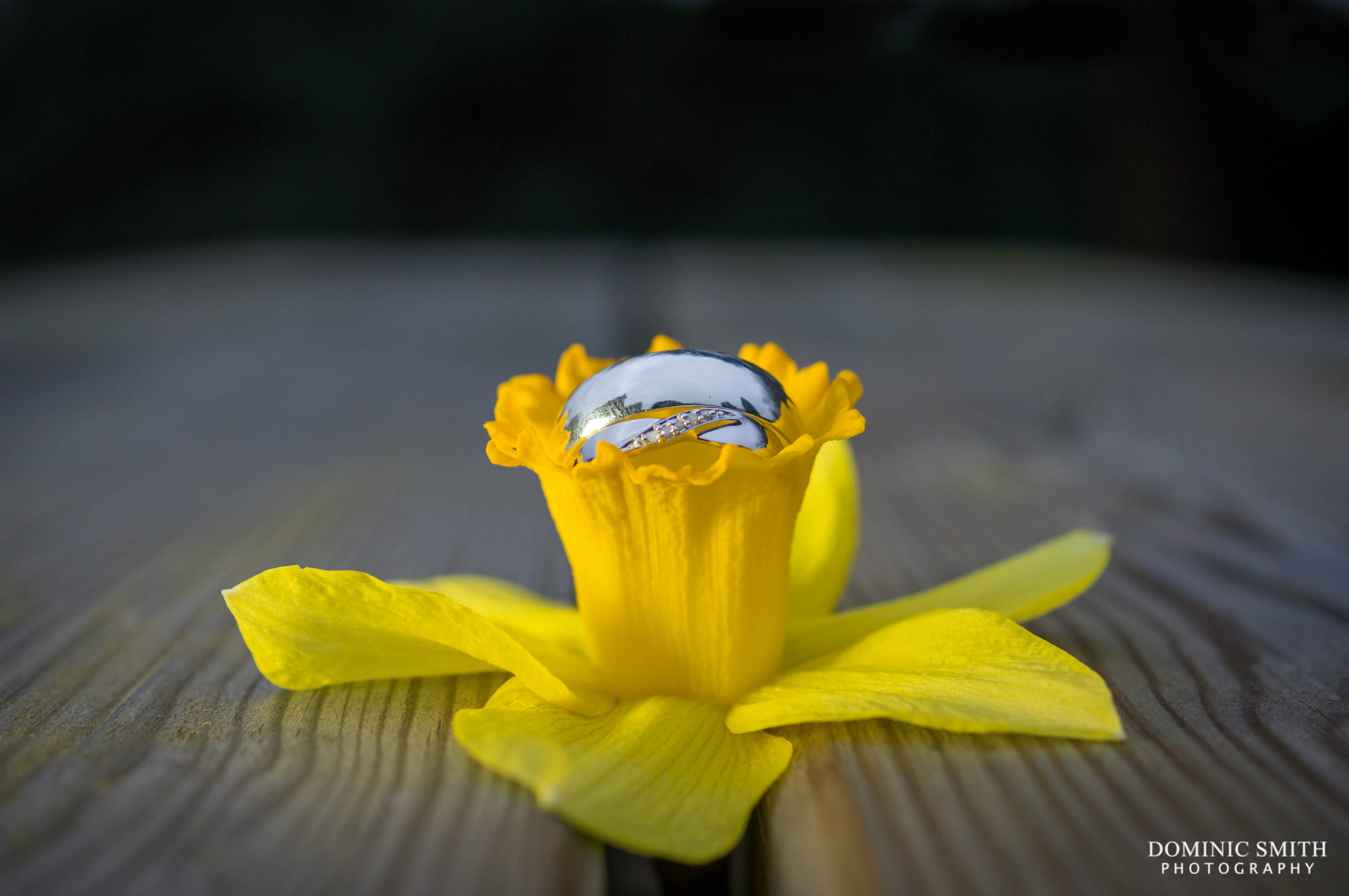 Wedding Rings on a Daffodil