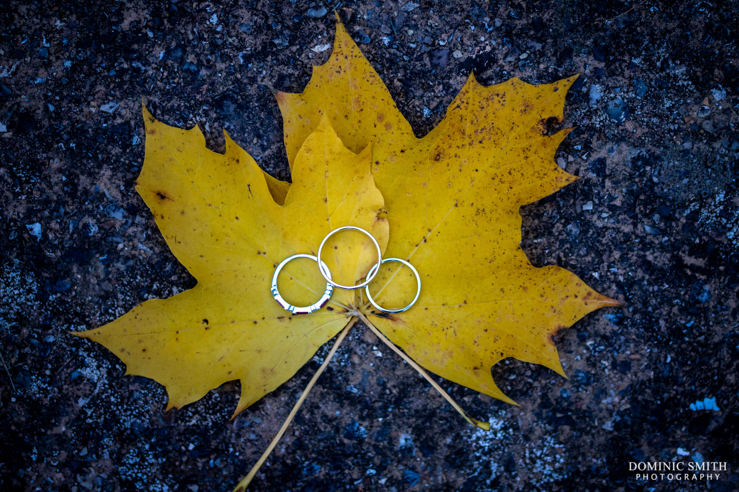 Autumnal Wedding Ring Photography