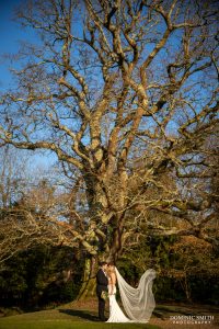 Floating Veil Ravenswood Photo