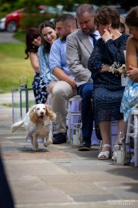 Dog Ring Bearer arrives at the wedding ceremony at Highley Manor in Sussex