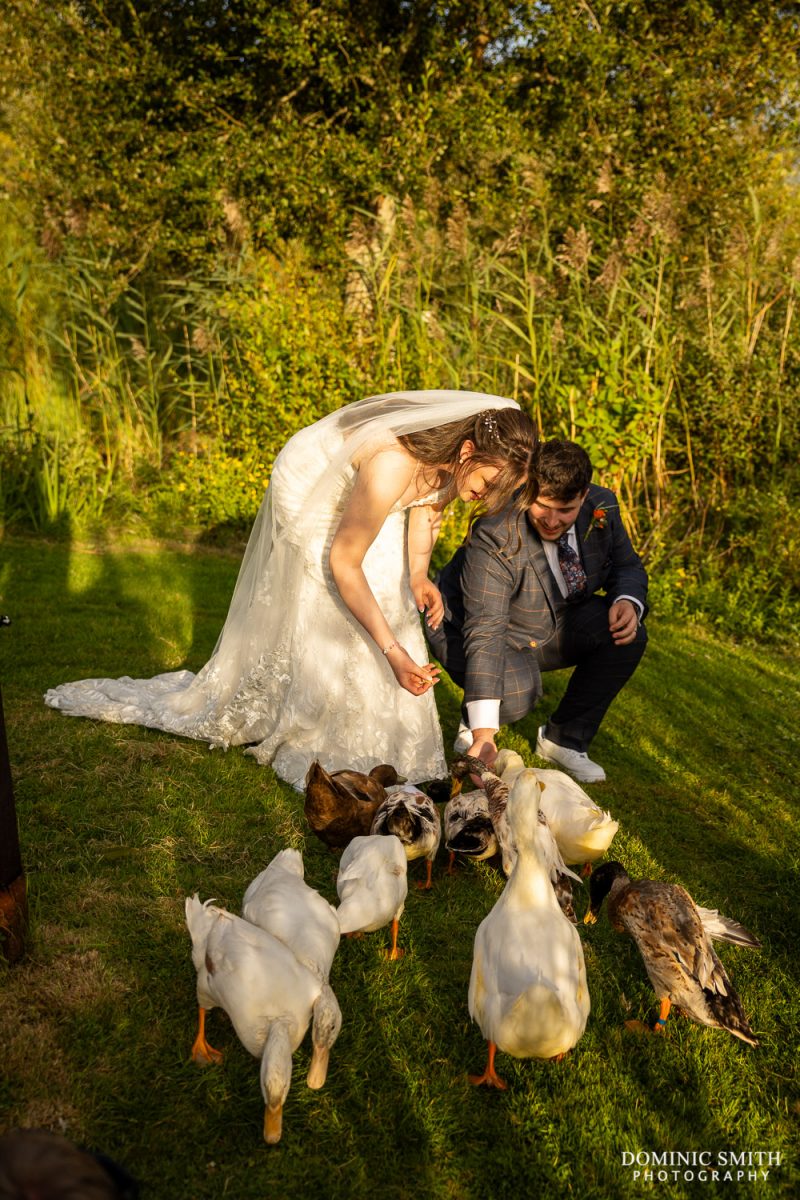 Bride and Groom with the Millwards Estate Ducks